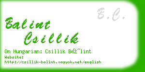 balint csillik business card